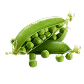 Arveja